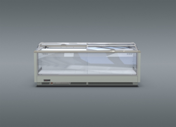 Everest WNEV-17-2500 CCP